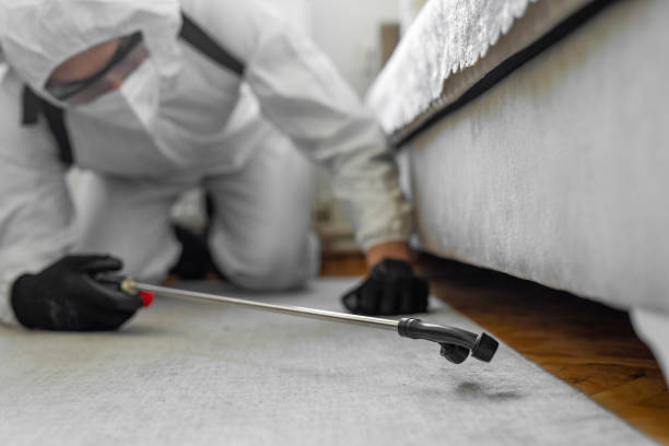 Professional Bed Bug Control technician working in Hide-A-Way Lake, MS