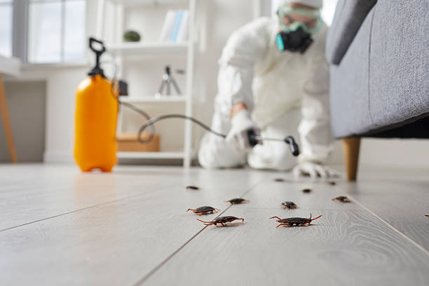 Trusted Fumigation Services service in Hide-A-Way Lake, MS - Nex Pest Control