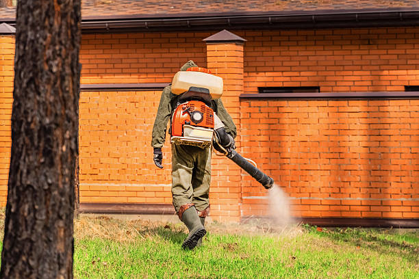 Trusted Termite Control service in Hide-A-Way Lake, MS - Nex Pest Control